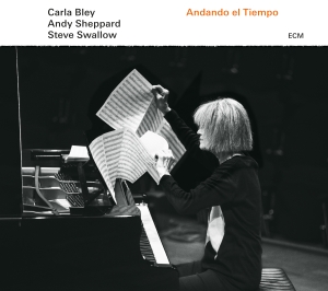 Carla Bleysteve Swallow Andy Shep - Andando El Tiempo (LP)