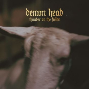 Demon Head - Thunder On The Fields Lp Black (LP)