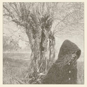 Lankum - Between The Earth And Sky (LP)