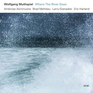 Muthspiel Wolfgang - Where The River Goes (Lp) (LP)