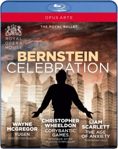 Bernstein Leonard - Bernstein Celebration (Blu-Ray) (Musiikki Blu-ray)