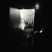 Metz - Automat (Loser Edition Clear Vinyl) (LP)