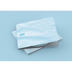 Kyong Je Hwan - Del 1: Paran Album (CD)