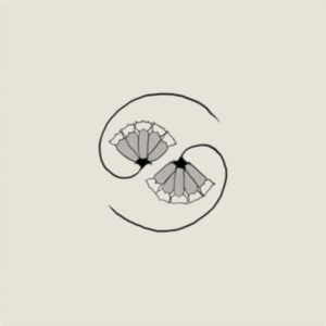 Godspeed You! Black Emperor - G_D's Pee At State's End! (Lp+10'') (LP)