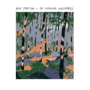 Stratton Will - Changing Wilderness (CD)