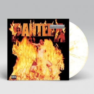 Pantera - Reinventing The Steel (MARBLED YELLOW VI (LP)