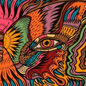 Tronosonic Experience - The Shadow Vol.2 (LP)