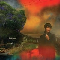 Sharon Van Etten - We've Been Going About This All Wro (LP)
