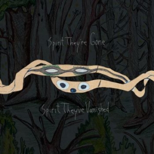 Animal Collective - Spirit They're Gone, Spirit They've (LP)