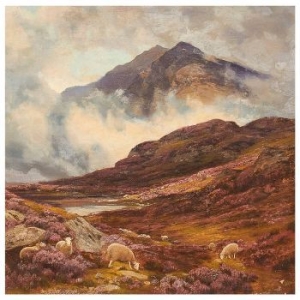 Råå - Ljungens Lag (LP)