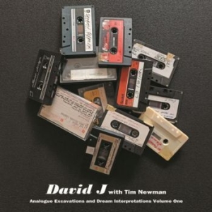 David J With Tim Newman - Analogue Excavations & Dream... Vol (LP)