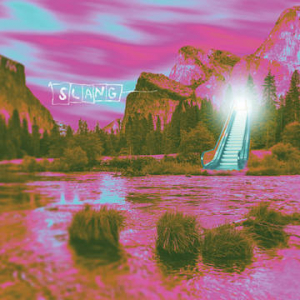 Slang - Escalator B/W Charlie (Rsd) (Vinylsingle)