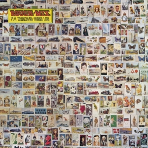 Pete Townshend Ronnie Lane - Rough Mix (Half Speed Remastered Vi (LP)