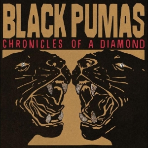 Black Pumas - Chronicles Of A Diamond (Klart Vinyl) (LP)