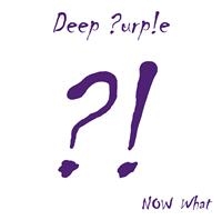 DEEP PURPLE - NOW WHAT?! (LP)