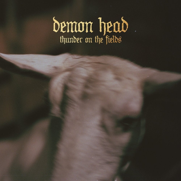 Demon Head - Thunder On The Fields Lp Silver (LP)