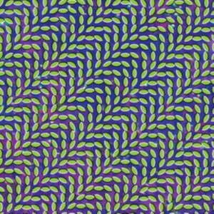 Animal Collective - Merriweather Post Pavillion (LP)