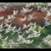 Kilbey Steve - Whispers In The Static (CD)