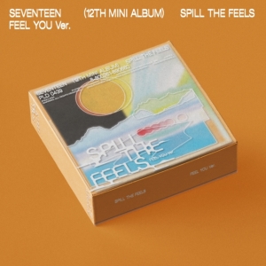 Seventeen - 12. Mini Album (Ver. 2) (CD)