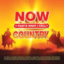 Various Artists - Now That's What I Call Country (LP)