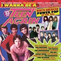 Various Artists - I Wanna Be A Teen Again ? American (CD)