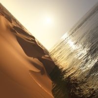 Pritchard Mark - Under The Sun (LP)