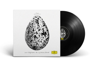 Snorri Hallgrímsson - The Importance Of Birds (LP)