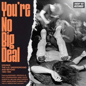 Various Artists - You're No Big Deal - Grunge, The U.S. Underground And Beyond 1984-1994 (4CD) (CD)