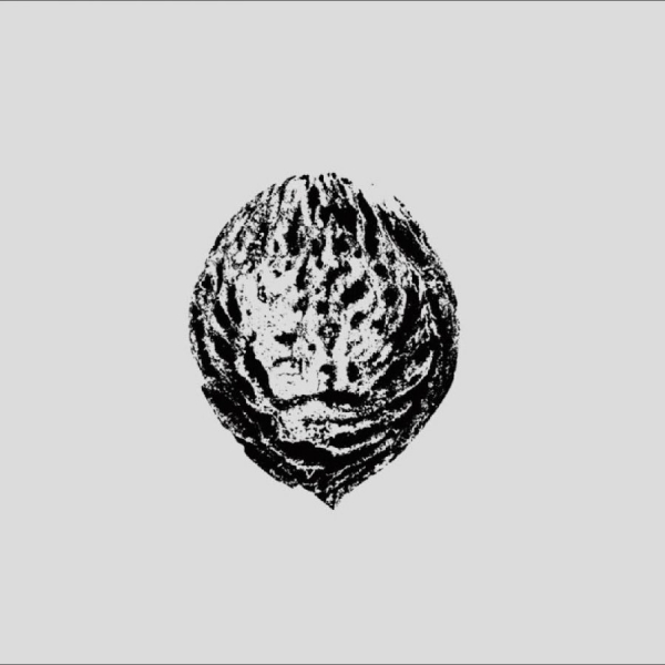 Black Lips - Bebop Armageddon (Detours & Offcuts (LP)
