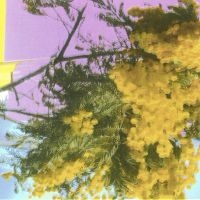 Four Tet - Into Dust (Still Falling) (Maxisingle) Four Tet - Into Dust (Still Falling) (Maxisingle)