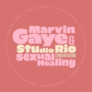Marvin Gaye & Studio Rio - Sexual Healing (Maxisingle)