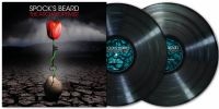 Spocks Beard - Archaeoptimist The (2 Lp Musta Vinyyli) (LP)