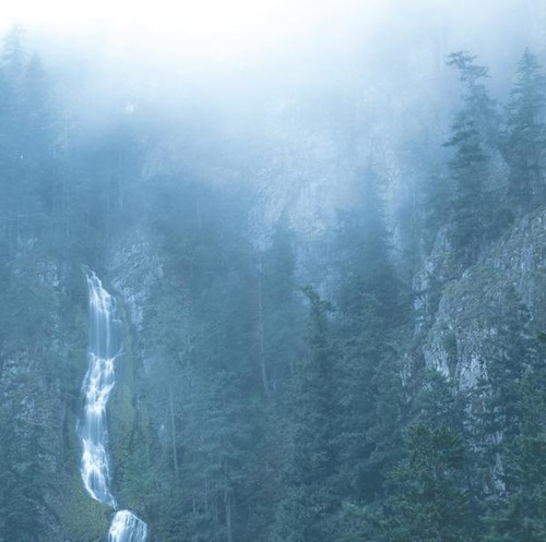 Wolves In The Throne Room - Diadem Of 12 Stars (LP)
