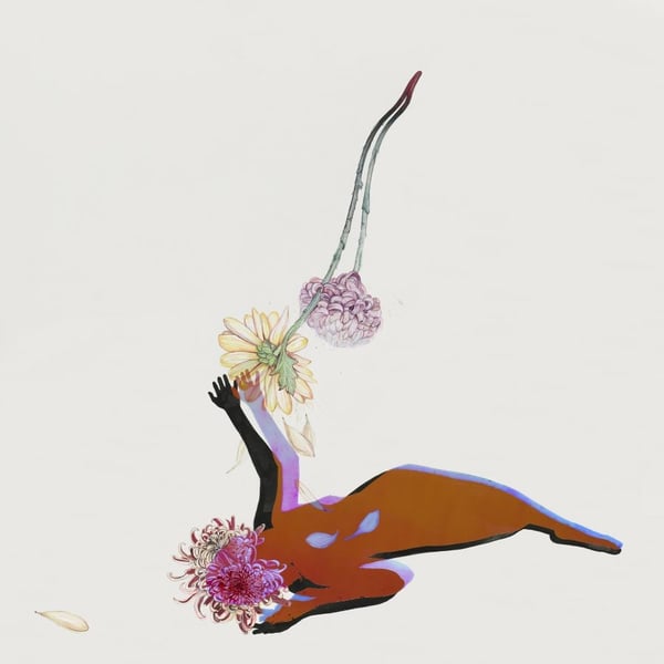 Future Islands - The Far Field (LP)