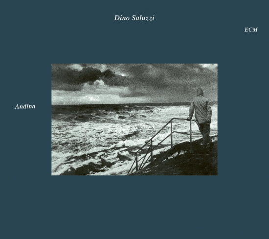 Saluzzi Dino - Andina (CD)