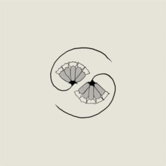Godspeed You! Black Emperor - G_D's Pee At State's End! (CD)
