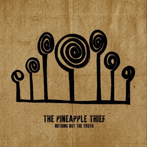 Pineapple Thief - Nothing But The Truth (LP)