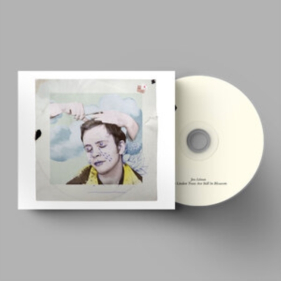 Jens Lekman - The Linden Trees Are Still In Bloss (CD)