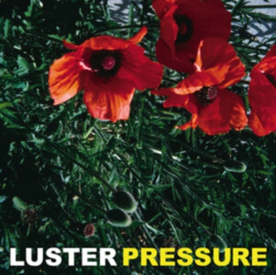 Luster - Pressure (LP)