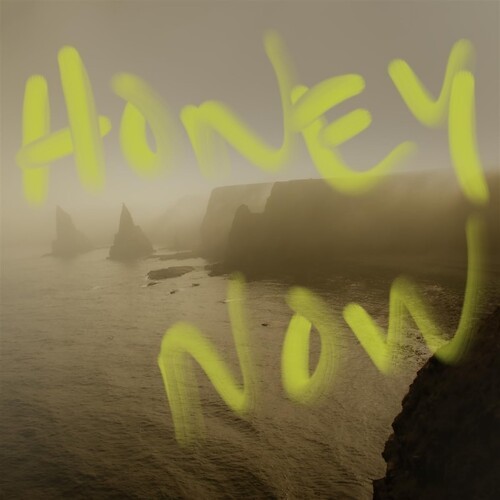Neon Waltz - Honey Now (CD)
