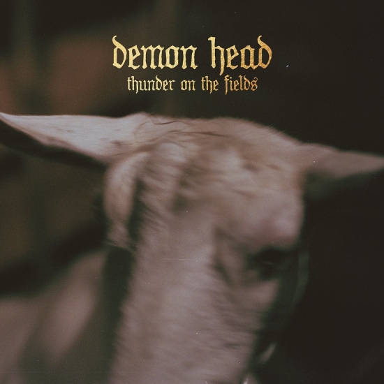 Demon Head - Thunder On The Fields Lp Silver (LP)