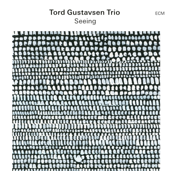 Tord Gustavsen Trio - Seeing (CD)