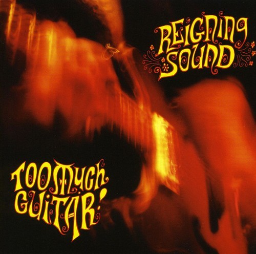 Reigning Sound - Too Much Guitar (CD)