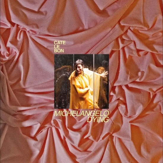Cate Le Bon - Michaelangelo Dying (CD)