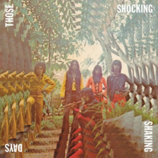Various Artists - Those Shocking Days (LP)