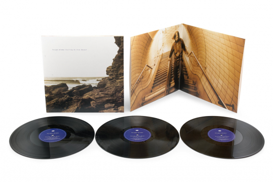 Polygon Window (Aka Aphex Twin) - Surfing On Sine Waves (Utvidet 3LP-utgave) (LP)