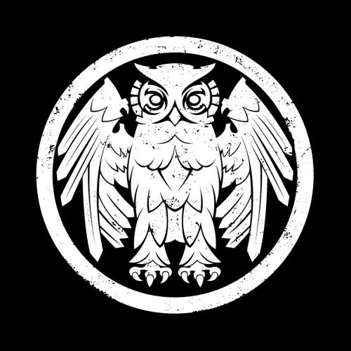 Riverboat Gamblers - Underneath The Owl (CD)
