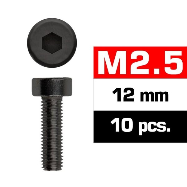 M2.5x12mm hætteskrue (10 stk)