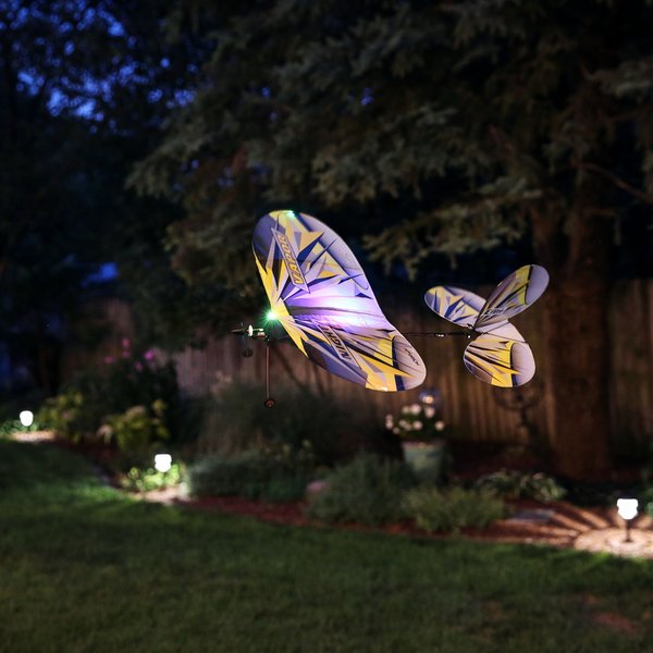 E-Flite UMX Night Vapor RTF