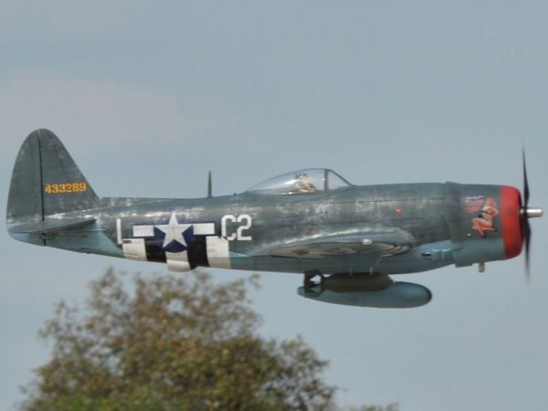 Black Horse Model P-47 Thunderbolt 50cc ARF